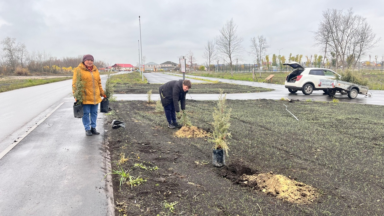 В рамках масштабного проекта по благоустройству " Царский сад" в Богучаре  продолжается процесс зелёного преобразования данной  территории.