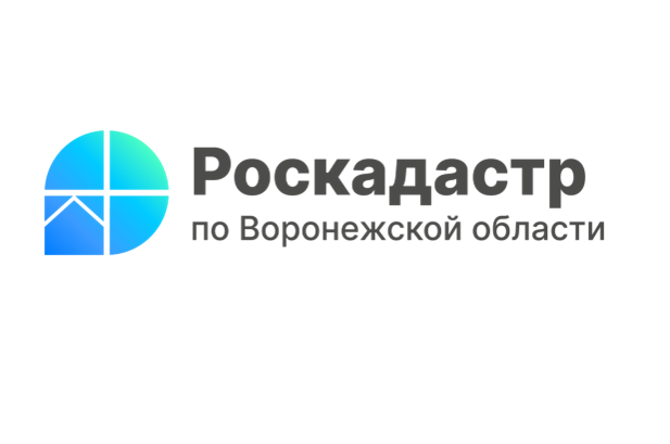 Воронежцы узнают о способах получения землеустроительной документации. Воронежцы узнают о способах получения землеустроительной документации.